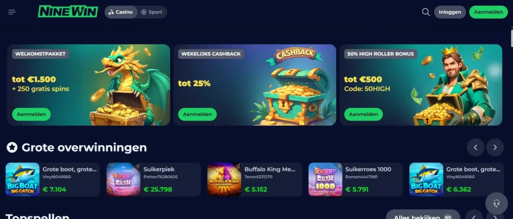 Overzicht van NineWin Casino officiële website